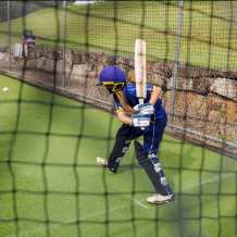 Cricket Pitch
